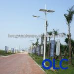 Solar LED Landscape Lighting Pole