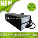 600W Hydroponics Magnetic ballast/Grow light Magnetic ballast