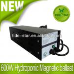 600W Hydroponics Magnetic ballast/Grow light Magnetic ballast-TD-M600-N1