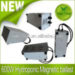 600W hydroponics magnetic ballast