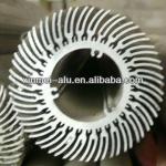 Aluminium sunflower radiator-