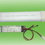 emergency lighting kit with Ni-cd battery for LED 8W 1.5 hours emergency time-YHL0350-8015TS