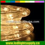 2 wire warm white solar rope lights-TP-RL2W36LED