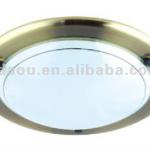Frosted glass metal ceiling light/ceiling lamp-zdgl034
