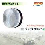 Lower Lumen Decay Induction Lamp Ceiling Light-BDD-WXD-04
