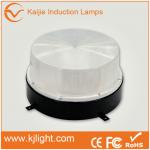 Aluminum light fixtures induction ceiling lights 80w-VE_CL_8702