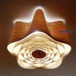 ceiling light fixtureC1009-60-C1009-60