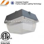 Canopy parking lot ceiling lighting-DS-405