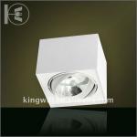50W Square Surface Mount Downlight Fixture-DL111N-1