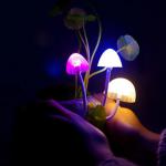 Fancy Led mushroom night light-300013