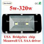 Bridgelux chip, Meanwell driver ip65 led night light(CE,RoHS)-NG-tl910-T200W