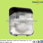 2013 CE ROHS 80W induction lamp for wall light high quality HLG721 2700K 5000K 6500K-HLG721