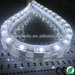 DC12V 5500K 5050 side emitting flexible waterproof led strips-5050