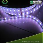 New!! 72W 300 LEDs per roll 5050 rgb led strip waterproof-WHSF5050RGB-046B