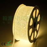 HUGEWIN upgrades 3528 120leds per meter led strip 220v single line waterproof led strip-3528-120