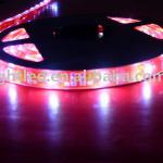 5050 SMD LED flexible strip-