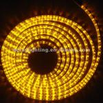 Best price! (2 wires round),60pcs LED/m led rope light-DR-2W