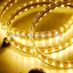 smd3528 led strip light 5meters 30leds 12v outdoor rainbow-LW-SF-001