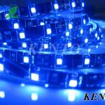 Waterproof Flex RGB Christmas decorations SMD Strips-KT-45