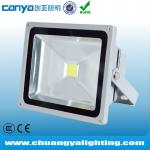 LED Outdoor Path Flood Lights (BV,CE,RoHS)-CY-FW501-30
