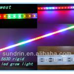 1000w led grow lights for best home garden with full spectrum-SD-RLS-5050-60