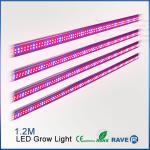 LED Grow Light T8 for Plant Growing-R-LGL-15W(T8-1.2m)