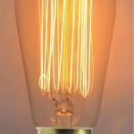 Vintage Antique Edison Light bulbs ST64 Squirrel Cage Bulb-ST646414019