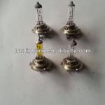 H7 auto halogen bulb-H7 12V 55W, H7 24V 70W