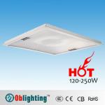 40W-250W Magnetic induct lamp-C-5004