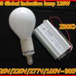 E40 global shape low frequency induction lamp 80W/100W/120W with 110V/120V/220V/277V/100V~300V-SK-LF-120GE40