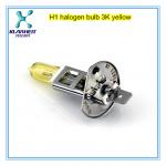professional factory sale h1 12v 100w halogen lamp-H1