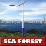 (Hot) Solar Street Light 220w 6 hours 3 wet days high pressure sodium lamp-Solar Light