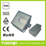 ZY8220 Metal Halide Floodlight/High Pressure Sodium Floodlight 1000W CE-ZY8220