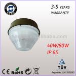 40W 80W induction ceiling and garage light-ZQ-C002
