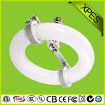 Electromagnetic induction lamp for price-XP-tube and ballast