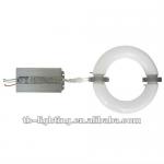 200W magnetic induction lamp, price induction lamp-TBD220V200_W01