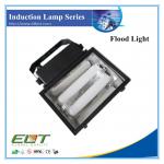 Electrodeless Flood Induction Light with Self Ballast Low Frequency-TG704 Induction Light