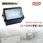 120W Electronic Ballast Tunnel Light-BDD-WSD-04