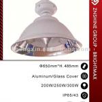 Induction Lamp for Highbay Light (BMX334)-BMX334