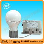 High Quality With Best Price Induction Lamp/Induction Light Bulb-FN-200W
