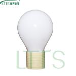 Electrodeless Induction Lamp-LTTS-LQ