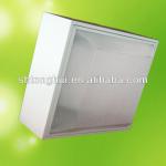 Ceiling light LVD Induction Light-RY404A