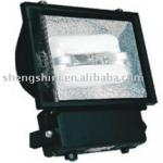 induction lamp for flood lamp-SNTG08