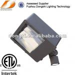 High power metal halide flood light-DS-329