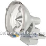 Induction Flood light(High Power and Energy Saving)-TGS001