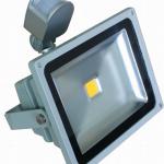 Best seller 10w 20w 30w 50w Led floodlight with motion sensor-LY-FL-P010