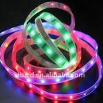 IP65 waterproof 5050 led neon strip-SUN-5F12T100012L60-R