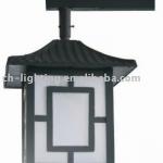 Induction Lamp landscape lighting-CHTY-004