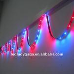 Factory led neon flex strip 120leds-LG01-5050W60D-10MM-12V