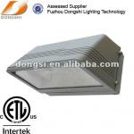 High power Die-casting aluminum wall tunnel lighting fixture-DS-410